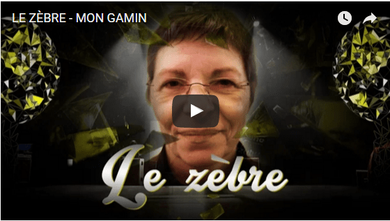 Le zèbre au festival [O]Slam etc 2016 à&nbsp;Josselin