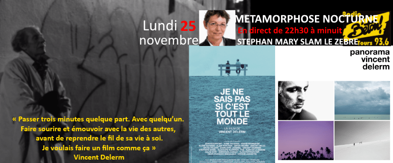 Vincent Delerm dans Métamorphose&nbsp;nocturne