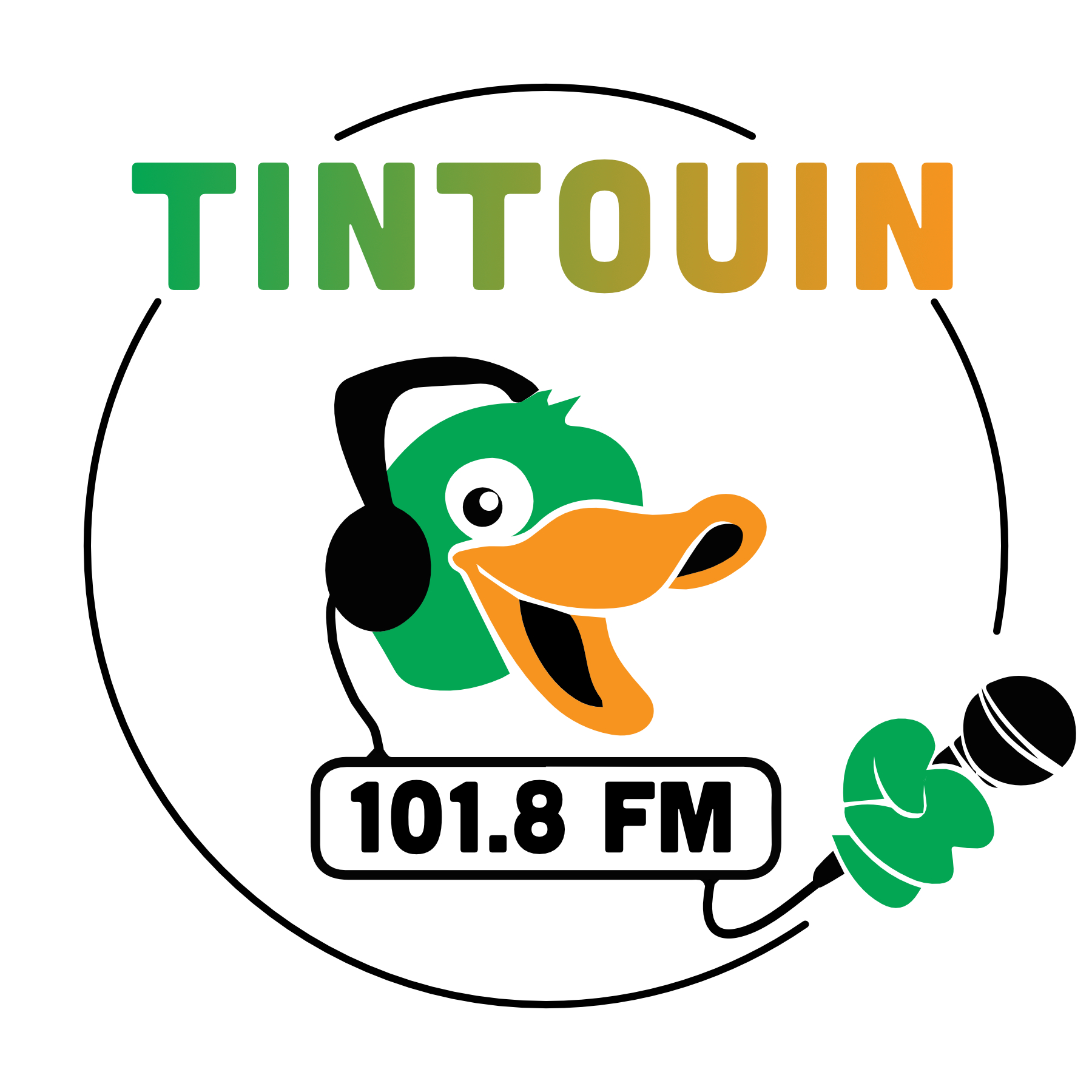 logo radio tintouin 2022 micro plus horizontal recolorisé - Ali